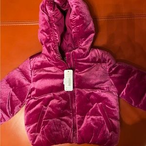 Gymboree baby jacket 12-18mo